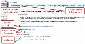 persuasive research paper topics