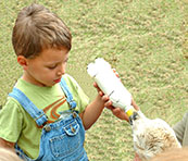 Troy-feeding1_edited-1