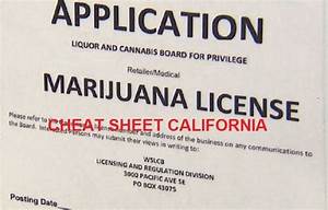 california cannabis license