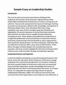 leadership essay